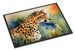 Cheetah Doormat Front Door Mat Indoor Outdoor Rugs For Entryway, Non Slip Washable Low Pile, 24H X 36W_maomaolike.com