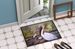 Three Pelicans On A Pier Doormat Front Door Mat Indoor Outdoor Rugs For Entryway, Non Slip Washable Low Pile, 24H X 36W_maomaolike.com