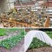 Insect-proof Net Freezing Protection Cover Support Frame Nursery Bed Support Frame Vegetable Greenhouse Support Stand Arched Curved Pipe_maomaolike.com