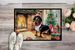 Dachshund Cozy Christmas Doormat Front Door Mat Indoor Outdoor Rugs For Entryway, Non Slip Washable Low Pile, 24H X 36W_maomaolike.com