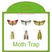 Pantry Clothes Kitchen Food Home Garden Pest Control Moth Traps Pheromone Sticker Moths Trap_maomaolike.com