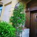 4 Pack Metal Garden Trellis 86.7" X 19.7" Rustproof Trellis For Climbing Plants Outdoor Flower Support Black_maomaolike.com