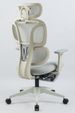 Ergonomic Office Chair With Footrest, High Back Computer Office Chair With Dynamic Lumbar Support, 2D Headrest, 2D Armrest, Sponge Seat, Mesh Home Office Desk Chair For Adults, GREY_maomaolike.com