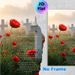 In Flanders Fields Poppy & Cross Painting Poster, Misty Sunlit Poppy Field With Crosses And Classic Poem Poster, Commemorative Decor Ideal For Home_maomaolike.com