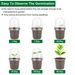 30Pcs Plant Nursery Pots PET Flower Seed Starting Pots Container With Dome With Drainage Holes_maomaolike.com
