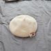 Hot Sale Corgi Butt Decor Octagonal Wool Painter Hat for Halloween Xmas_maomaolike.com