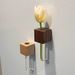 Ready Stock Wooden Test Tube Hydroponic Propagation Vase, Magnet Fridge Mini Planter Kitchen Locker Home Decor Ornament
_maomaolike.com