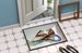 Tap Doses Shoes Doormat Front Door Mat Indoor Outdoor Rugs For Entryway, Non Slip Washable Low Pile, 24H X 36W_maomaolike.com
