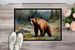 Kodiak Bear Doormat Front Door Mat Indoor Outdoor Rugs For Entryway, Non Slip Washable Low Pile, 24H X 36W_maomaolike.com