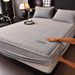 Winter Thickened Sheet Single Piece Milk Coral Fleece Bed Cover Non-Slip Full Wrap Mattress Protector For Simmons_maomaolike.com