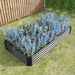 Raised Garden Bed Kit - Metal Raised Bed Garden 7.6x3.7x0.98ft For Flower Planters, Vegetables Herb Black_maomaolike.com