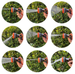 10 Modes Handheld Garden Hose Sprayer Nozzle, Heavy Duty High Pressure Water Tool For Lawn And Plant Watering
_maomaolike.com