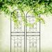 2 Pack Metal Garden Trellis 71" X 19.7" Rustproof Trellis For Climbing Plants Outdoor Flower Support Black_maomaolike.com