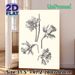 Daffodil Botanical Painting Poster, Monochrome Hand-drawn Sketch Poster, Delicate Detailed Floral Artwork, Ideal For Living Room, Bedroom & Office_maomaolike.com