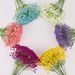 Single Stem Gypsophila Wholesale Fake Artificial Flowers For Wedding Decorations, Photo Props, And Floral Arrangements_maomaolike.com