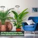 6 Inch LED Angel Ring Plant Light Full Spectrum Plant Grow Light Indoor Potted Plant Fill Light & Factory_maomaolike.com