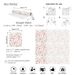 Soft Floral Peel & Stick Wallpaper – Romantic Pink Botanical, Removable, Waterproof, Renter Friendly Decor_maomaolike.com