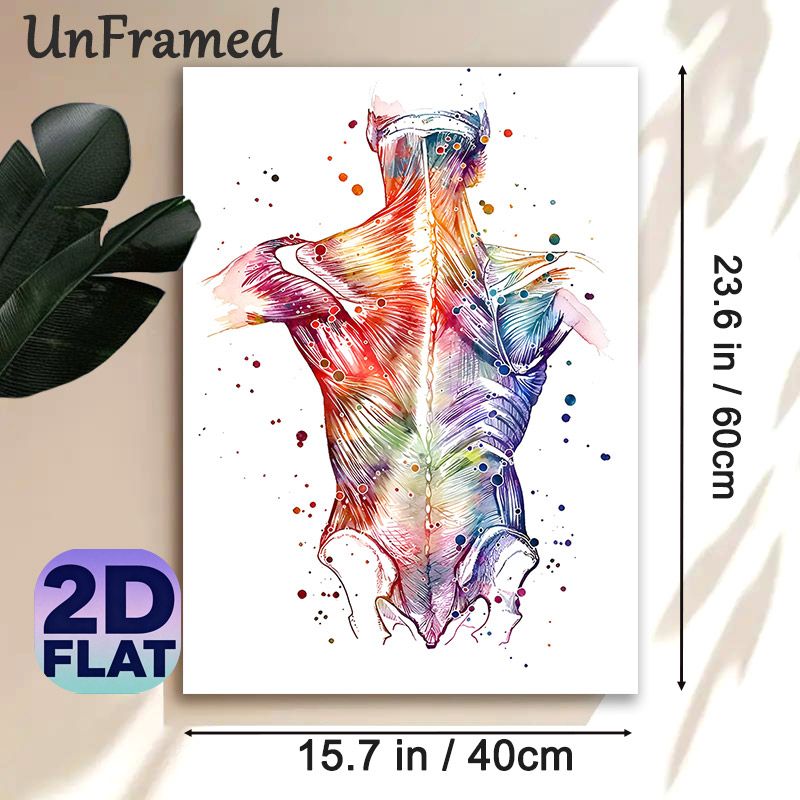 Human Back Muscle Anatomy Painting Poster, Vibrant Watercolor Splatter Style Poster, Informative Anatomical Art Ideal For Medical Clinic, Therapy_maomaolike.com