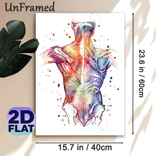 Human Back Muscle Anatomy Painting Poster, Vibrant Watercolor Splatter Style Poster, Informative Anatomical Art Ideal For Medical Clinic, Therapy_maomaolike.com