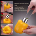 Stainless Steel Corer Pitter Pear Seed Remover Kitchen Fruit And Vegetable Coring Tool_maomaolike.com