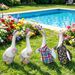New-style Porch Goose Swimsuit, Big White Goose, Pastoral And Casual Style, Goose-themed Swim Set—essential For Swimming._maomaolike.com
