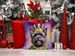 Cairn Terrier King Of Mardi Gras Throw Pillow Machine Washable, Indoor Outdoor Decorative Pillow For Couch, Bed Or Patio, 14Hx14W_maomaolike.com