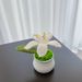 Cross-border Hot-selling Finished Products Potted Lily Martian Orchid Small Ornament Hand-woven Simulated Flower Desk Car Jewelry_maomaolike.com