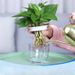 Garden Supplies Pack New G214 Fully Transparent Hydroponic Flower Pot Flower Arrangement Water Bottle_maomaolike.com
