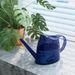 【 1391 People's Collection 】 Watering Household Long Mouth Semi Transparent Large Capacity Kettle, Pot, Succulent_maomaolike.com