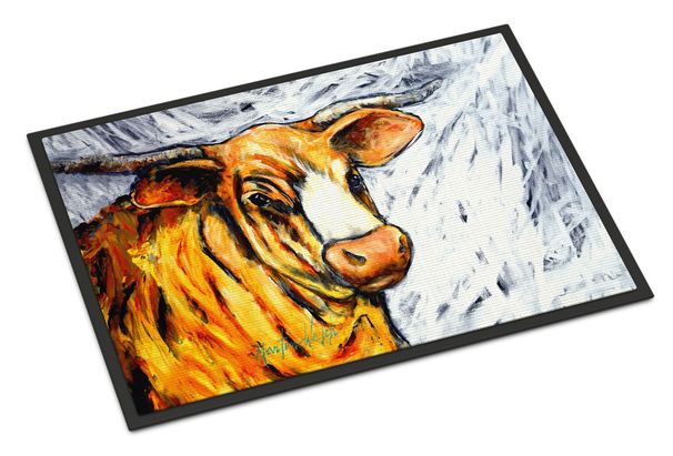 Bully Doormat Front Door Mat Indoor Outdoor Rugs For Entryway, Non Slip Washable Low Pile, 24H X 36W_maomaolike.com