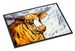 Bully Doormat Front Door Mat Indoor Outdoor Rugs For Entryway, Non Slip Washable Low Pile, 24H X 36W_maomaolike.com