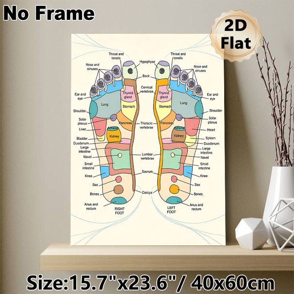 Reflexology Foot Chart Painting Poster, Colorful Detailed Anatomical Poster, Clearly Shows Foot-to-body Reflex Zones, Ideal For Massage Studios_maomaolike.com
