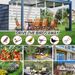 Holographic Bird Deterrent Tape Reflective Scare Ribbon Double Sided Laser Repellent Pest Control Garden Farm Orchard_maomaolike.com
