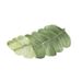 Ins Style Absorbent Floor Mat Green Plant Bathroom Foot Mat Bathroom Household Special-Shaped Door Mat Diatom Mud Carpet_maomaolike.com