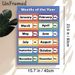 Months Of The Year Painting Poster, Vibrant Block-style Monthly Chart Poster, Educational Design For Learning Full And Abbreviated Month Names, Ideal_maomaolike.com