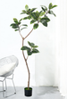 Source Manufacturer Bangladesh Banyan Artificial Green High-End Light Luxury Indoor Living Room Bionic Flower Large_maomaolike.com