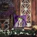 English Setter King Of Mardi Gras Throw Pillow Machine Washable, Indoor Outdoor Decorative Pillow For Couch, Bed Or Patio, 14Hx14W_maomaolike.com