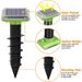 Solar Animal Outdoor Waterproof IP66 Repeller Buzzes Vibrates To Repel Moles And Snakes_maomaolike.com