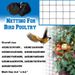 New 6-30m Bird Bird-Proof Plastic Nylon Protective Traps Crops Garden Plants Climbing Net Pest Control Tool_maomaolike.com