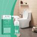 Jue-Fish Toilet Toilet Decontamination Cleaner, Multi-Effect Dirt Dissolver Toilet Tile Cement Floor Decontamination_maomaolike.com