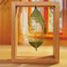 Creative Carving Double-Sided Glass Transparent Photo Wholesale Plant Leaf Specimen Hollow Frame Wooden Display Stand_maomaolike.com