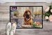 Decorating Easter Bloodhound Doormat Front Door Mat Indoor Outdoor Rugs For Entryway, Non Slip Washable Low Pile, 24H X 36W_maomaolike.com