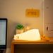 Duck Rechargeable LED Night Light Pat Silicone Lamp Bedside Cartoon Cute Children Nightlights For Home Room Decor_maomaolike.com
