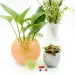 500Pcs 3-4cm Grow Ball Home Decor Colors Hydrogel Crystal Soil Water Beads Multi Mud Pear Shaped Very Big Bulbs Wedding Growing_maomaolike.com