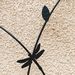 4 Pack Metal Garden Trellis 71" X 19.7" Rustproof Trellis For Climbing Plants Outdoor Flower Support Dragonfly Deco Black_maomaolike.com