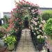 Metal Garden Arch With Two Plant Stands 79.5'' Wide X 86.6'' High Climbing Plants Support Rose Arch Outdoor Black_maomaolike.com