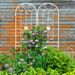 2 Pack Metal Garden Trellis 86.7" X 19.7" Rustproof Trellis For Climbing Plants Outdoor Flower Support Cream White_maomaolike.com