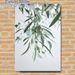 Botanical Eucalyptus & Olive Branch Painting Poster, Soft-toned Minimalist Foliage Poster, Calming Natural Decor Ideal For Living Room, Bedroom_maomaolike.com