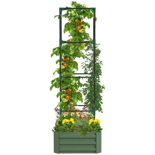 Outsunny Galvanized Raised Garden Bed, 24" X 24" X 11.75" Outdoor Planter Box With Trellis Tomato Cage And Open Bottom For Climbing Vines, Vegetables, Flowers In Backyard, Garden, Patio, Green_maomaolike.com