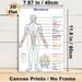 Meridian Chart Painting Poster, Clear Color-coded Human Meridian Map Poster, Informative Reference For Traditional Chinese Medicine Learning, Suitable_maomaolike.com